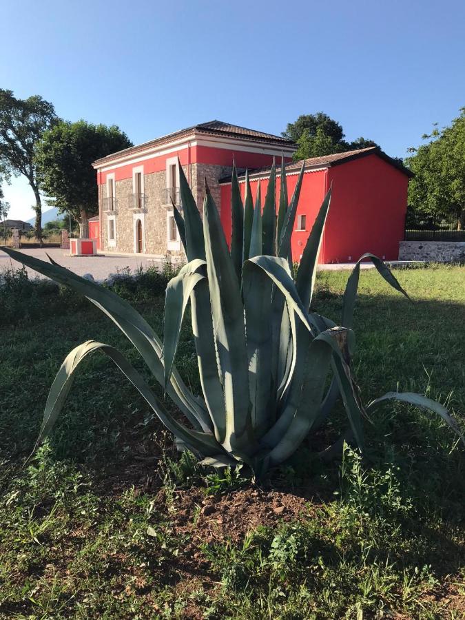 Agriturismo Dipinto Dal Sole Padula Eksteriør billede